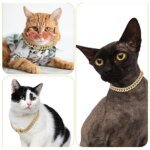 Hundkedja – diamant Cubansk halsband, promenadhalsband i metallkedja med design - Bild 2