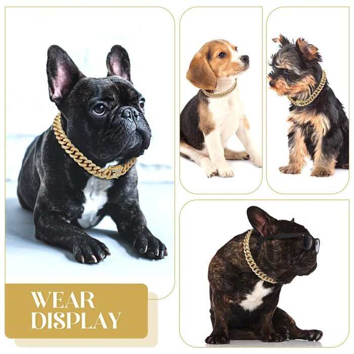 Hundkedja – diamant Cubansk halsband, promenadhalsband i metallkedja med design - Bild 3