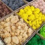 Konstgjord grön växt – evigt livs-mossa (DIY-dekoration) - Bild 2