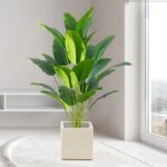Konstväxt Stor Tropisk Palm och Bananblad - Bild 2