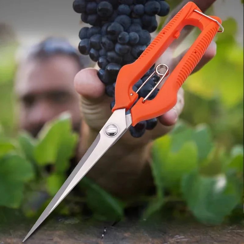 Beskärningssax (Pruning Shears)