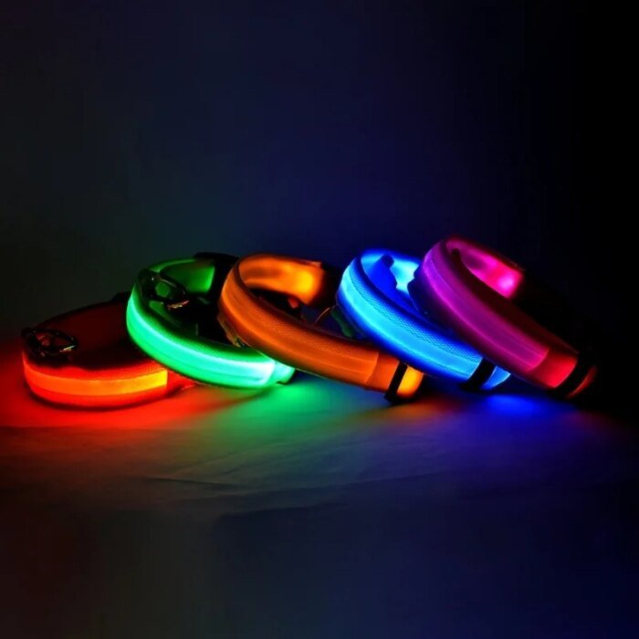 Lysande Hundkoppel med LED – Uppladdningsbart & Säkert – Perfekt för Kvällspromenader & Synlighet i Mörker - Bild 5