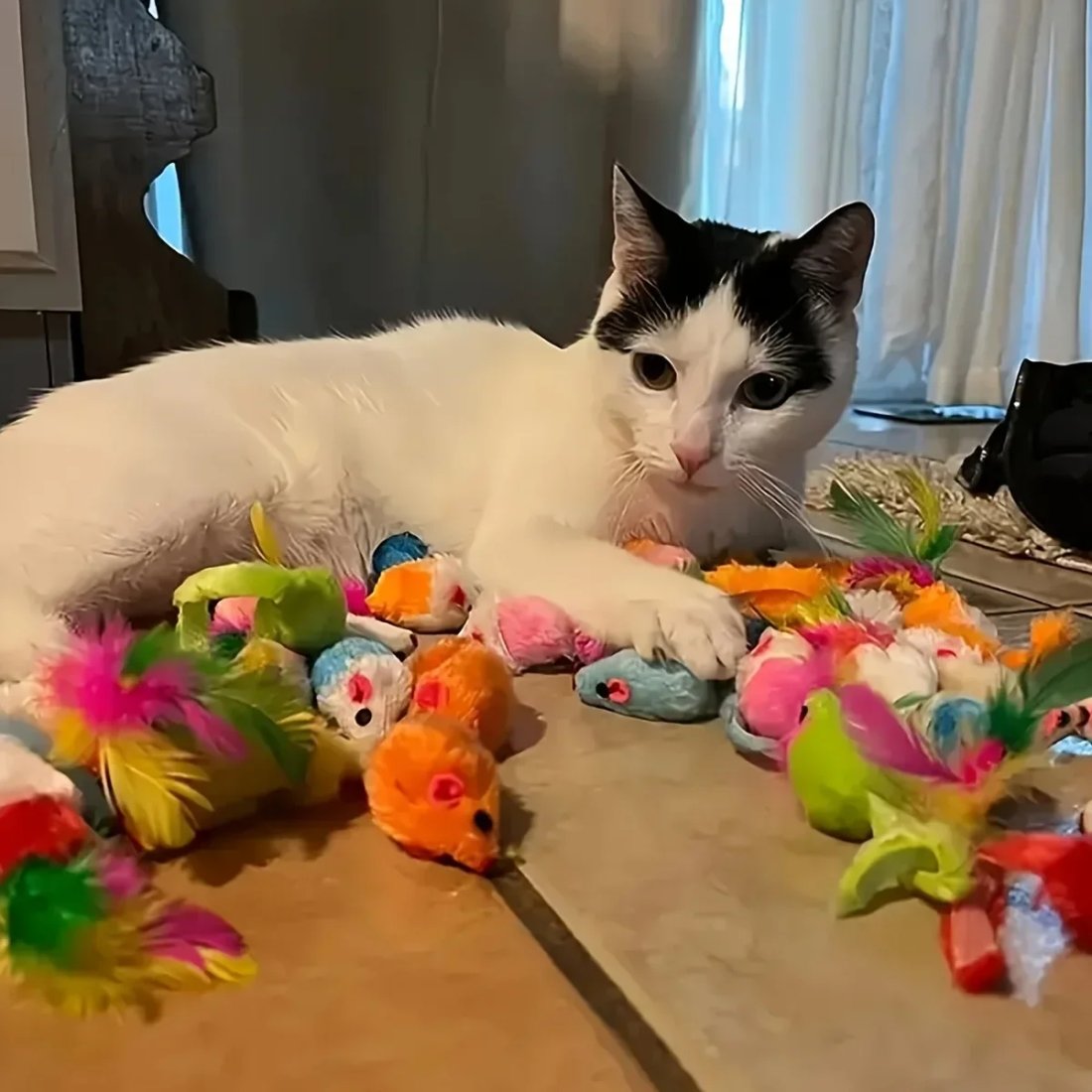 Rolig leksaksmix för katt med fjädrar och mjuka plyschleksaker
