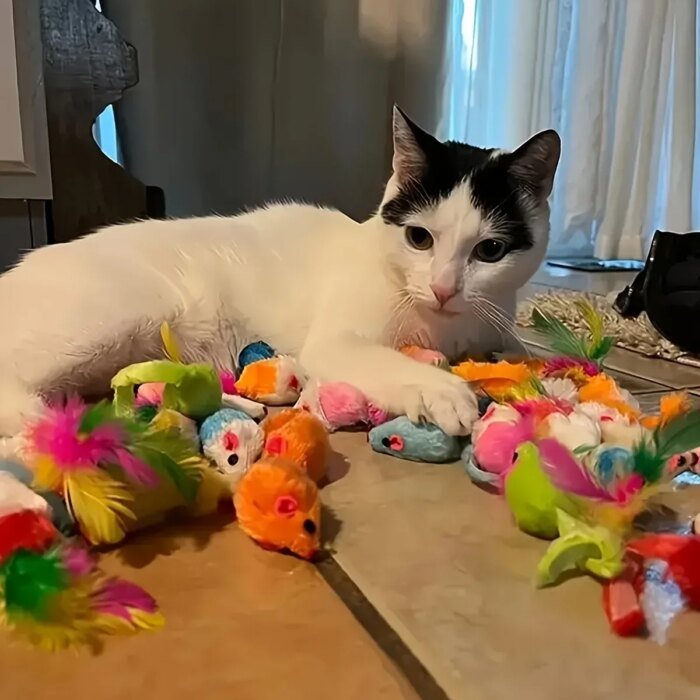 Rolig leksaksmix för katt med fjädrar och mjuka plyschleksaker - Bild 3