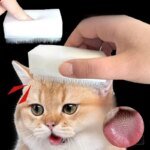 Sensorisk massageborste för katt med mjuk katttunge-struktur