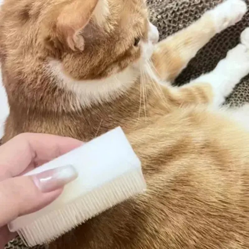 Sensorisk massageborste för katt med mjuk katttunge-struktur