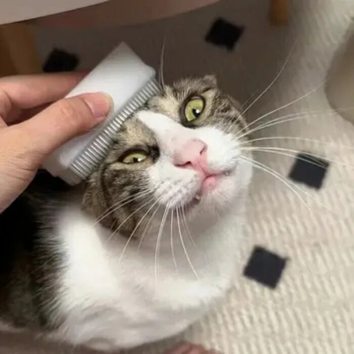 Sensorisk massageborste för katt med mjuk katttunge-struktur - Bild 4