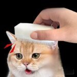Sensorisk massageborste för katt med mjuk katttunge-struktur - Bild 5