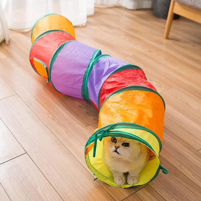 Hopfällbar kattunnel för lek och interaktiv träning inomhus - Bild 4