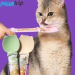 Smidig klämked och foderdispenser för flytande kattsnacks 2-pack