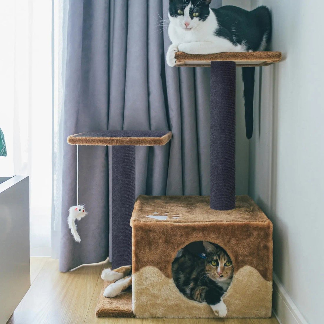 Självhäftande möbelskydd och klösmatta för soffa och katt
