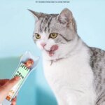 Smart klämsked för flytande kattsnacks och våtfoder - Bild 4