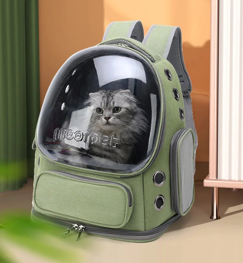 Transparent och andningsbar ryggsäck för transport av katt och hund