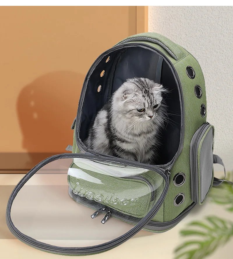 Transparent och andningsbar ryggsäck för transport av katt och hund
