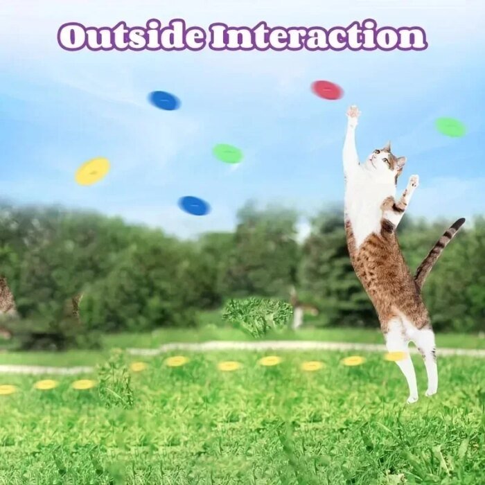 Rolig interaktiv leksakspistol med skumfrisbees för katt och hund - Bild 2