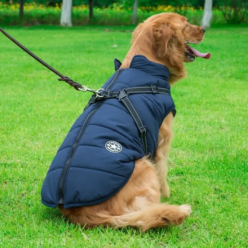 Varm och vattentät hundjacka med inbyggd sele för vinterbruk