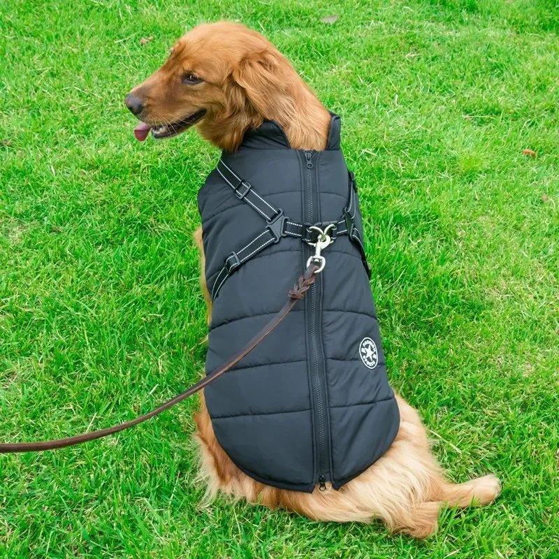 Varm och vattentät hundjacka med inbyggd sele för vinterbruk