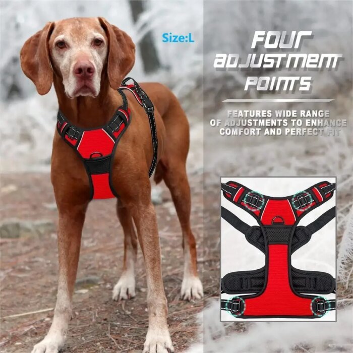 Komplett set med hundhalsband, sele och läderkoppel för hundar - Bild 2