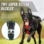 Komplett set med hundhalsband, sele och läderkoppel för hundar - Bild 5