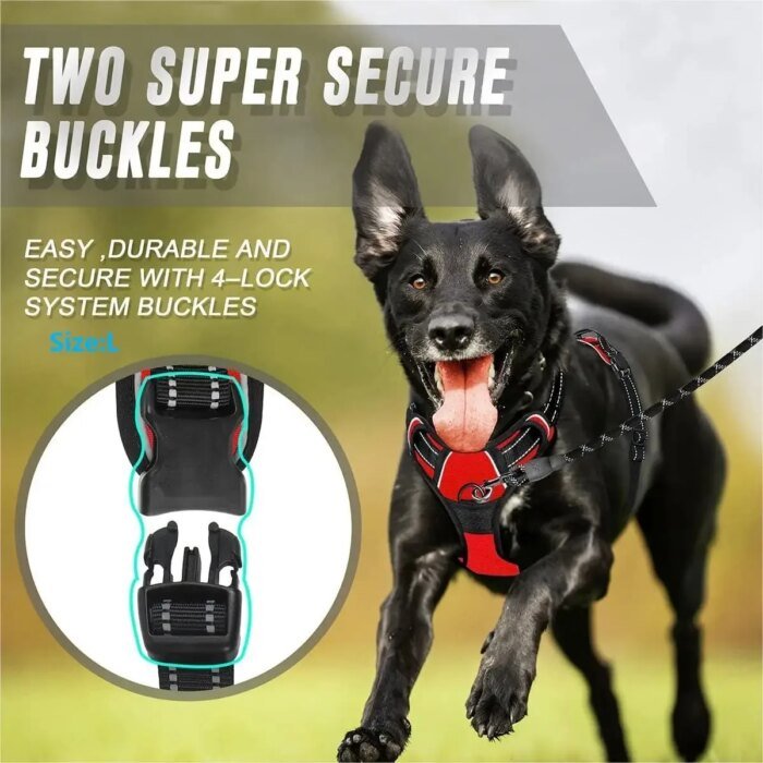 Komplett set med hundhalsband, sele och läderkoppel för hundar - Bild 5