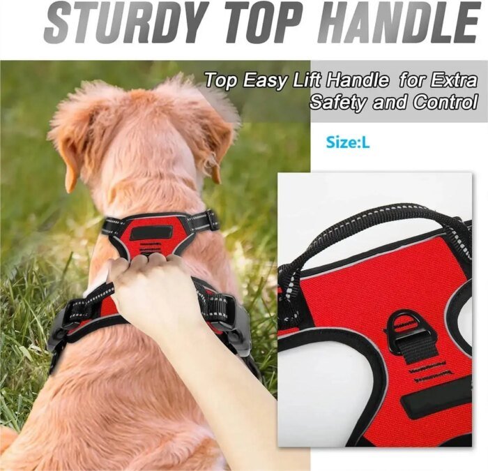 Komplett set med hundhalsband, sele och läderkoppel för hundar - Bild 4