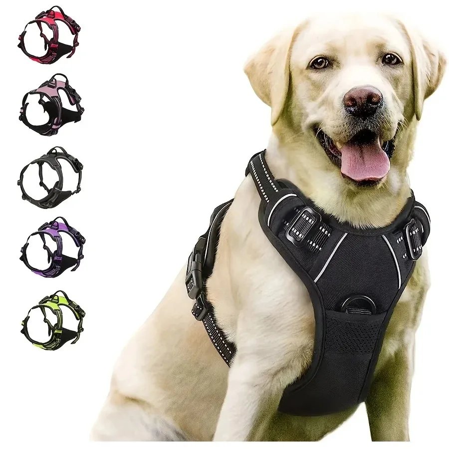 Komplett set med hundhalsband, sele och läderkoppel för hundar