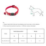 Kattenhalsband med guldstjärnor, måne, reflexspänne och bjällra - Bild 6