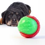Slitstark tuggbool i silikon med pipfunktion för hundvalpar - Bild 4