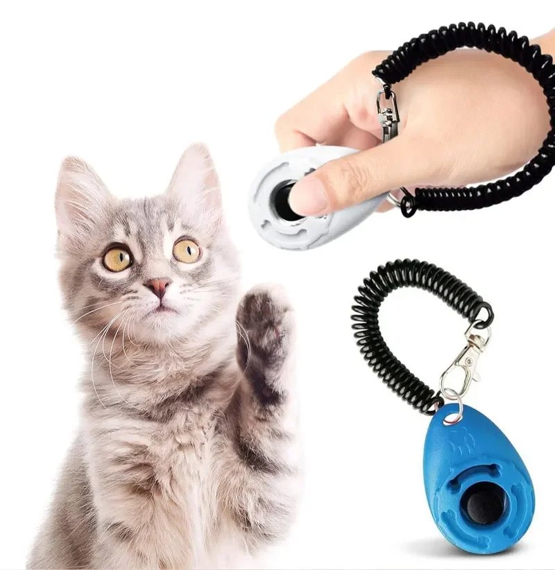 Klicker för hundträning och husdjursaktivering med elastiskt armband