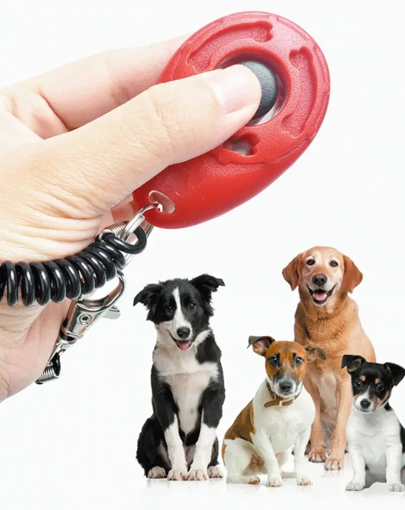 Klicker för hundträning och husdjursaktivering med elastiskt armband