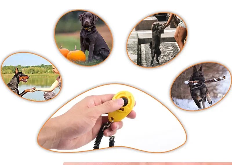 Klicker för hundträning och husdjursaktivering med elastiskt armband