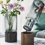 Elegant glasvas med träbas för hydroponiska växter och blommor - Bild 4