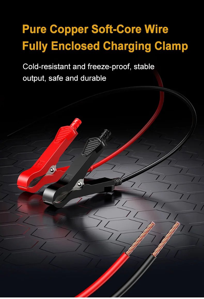 12V/24V Automatisk Bilbatteriladdare 20A/10A 12V/24V Automatisk Bilbatteriladdare 20A/10A