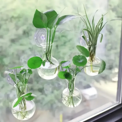 Väggmonterad Halvcirkelformad Hydroponisk Vas och Akvarium