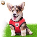 Justerbar hundsele i mesh med matchande koppel - Bild 2