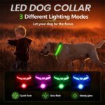 Lysande LED-hundhalsband med tre olika ljuslägen - Bild 2