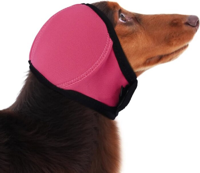 Ljuddämpande och vattentätt öronskydd för hund - Bild 4
