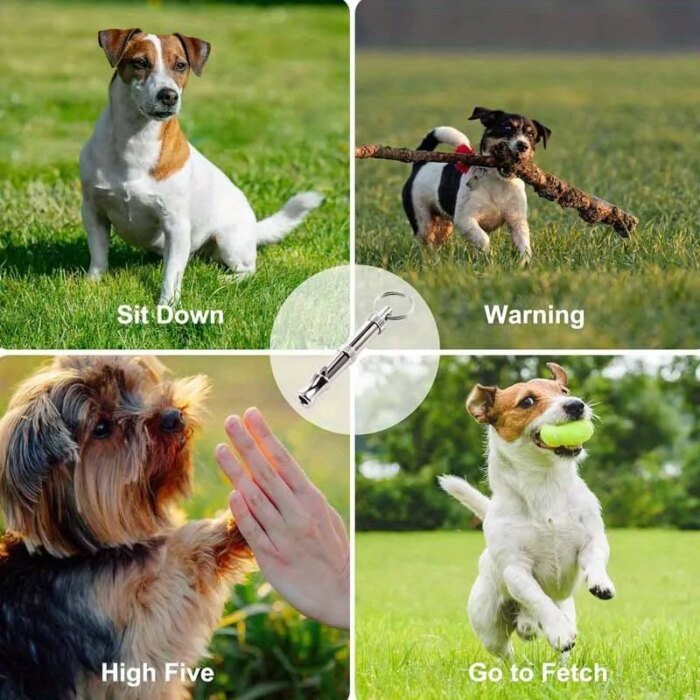Professionell hundvisselpipa mot skällande med nyckelring - Bild 4